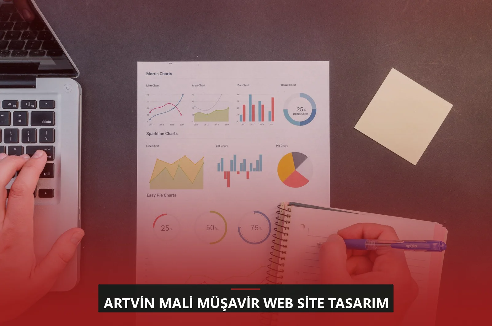 Artvin Mali Müşavir Web Site Tasarım