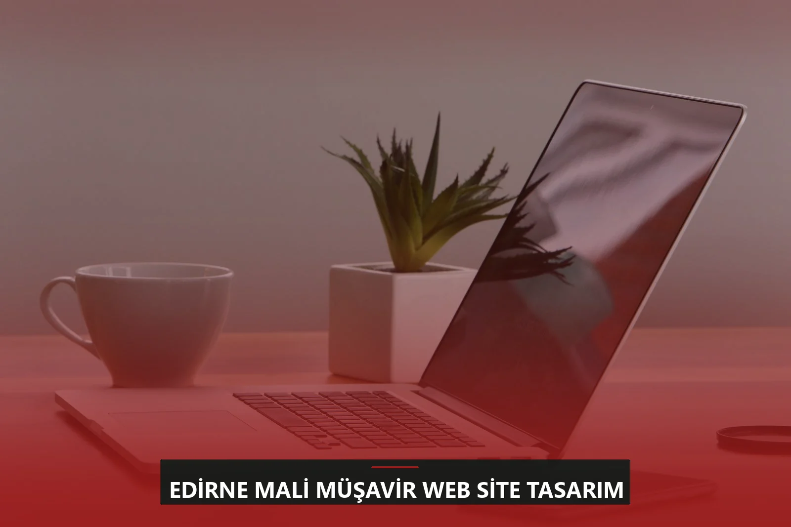 Edirne Mali Müşavir Web Site Tasarım