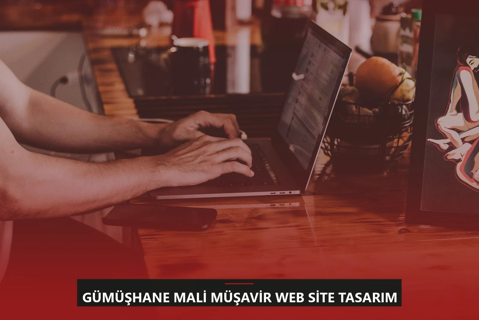 Gümüşhane Mali Müşavir Web Site Tasarım
