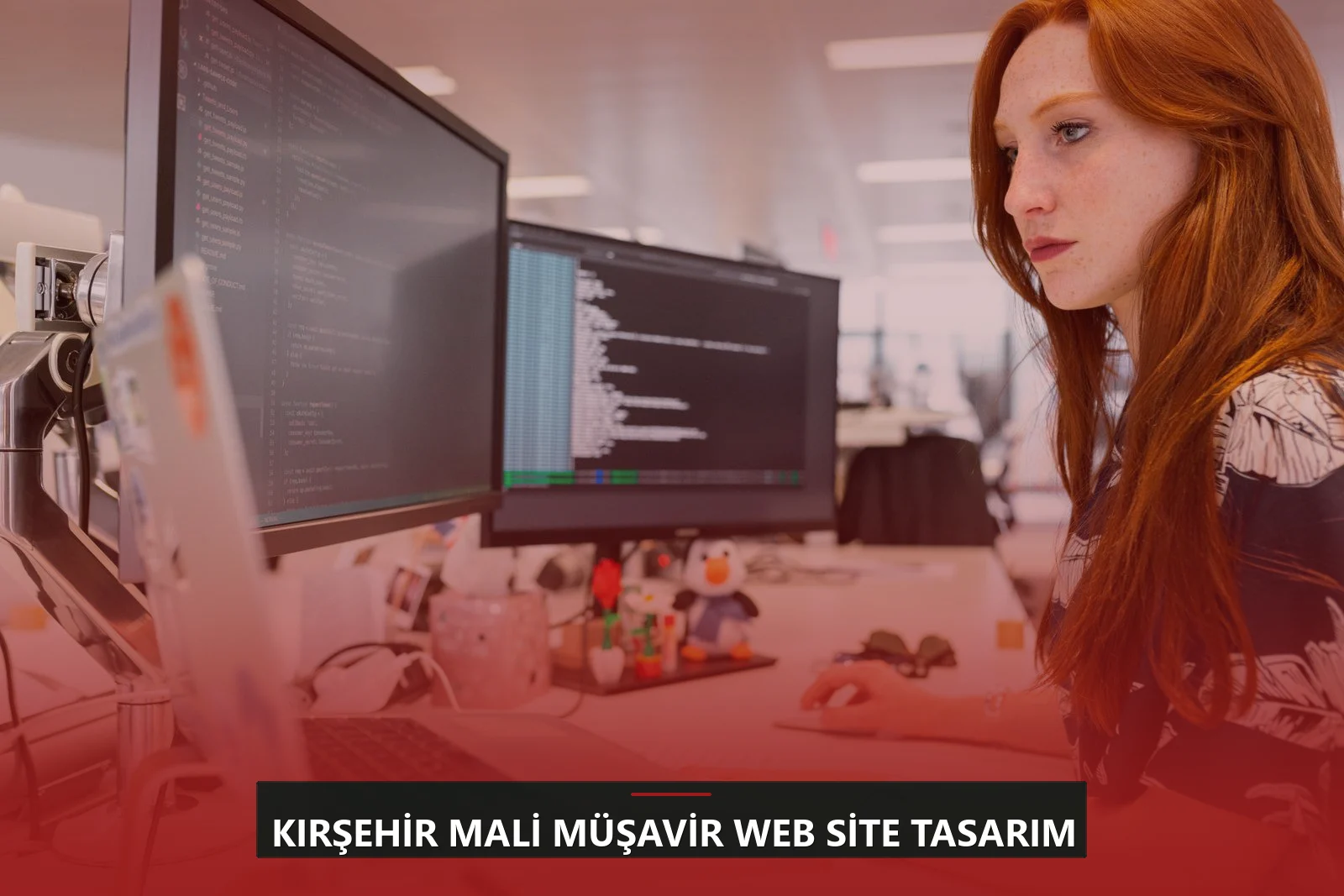 Kırşehir Mali Müşavir Web Site Tasarım