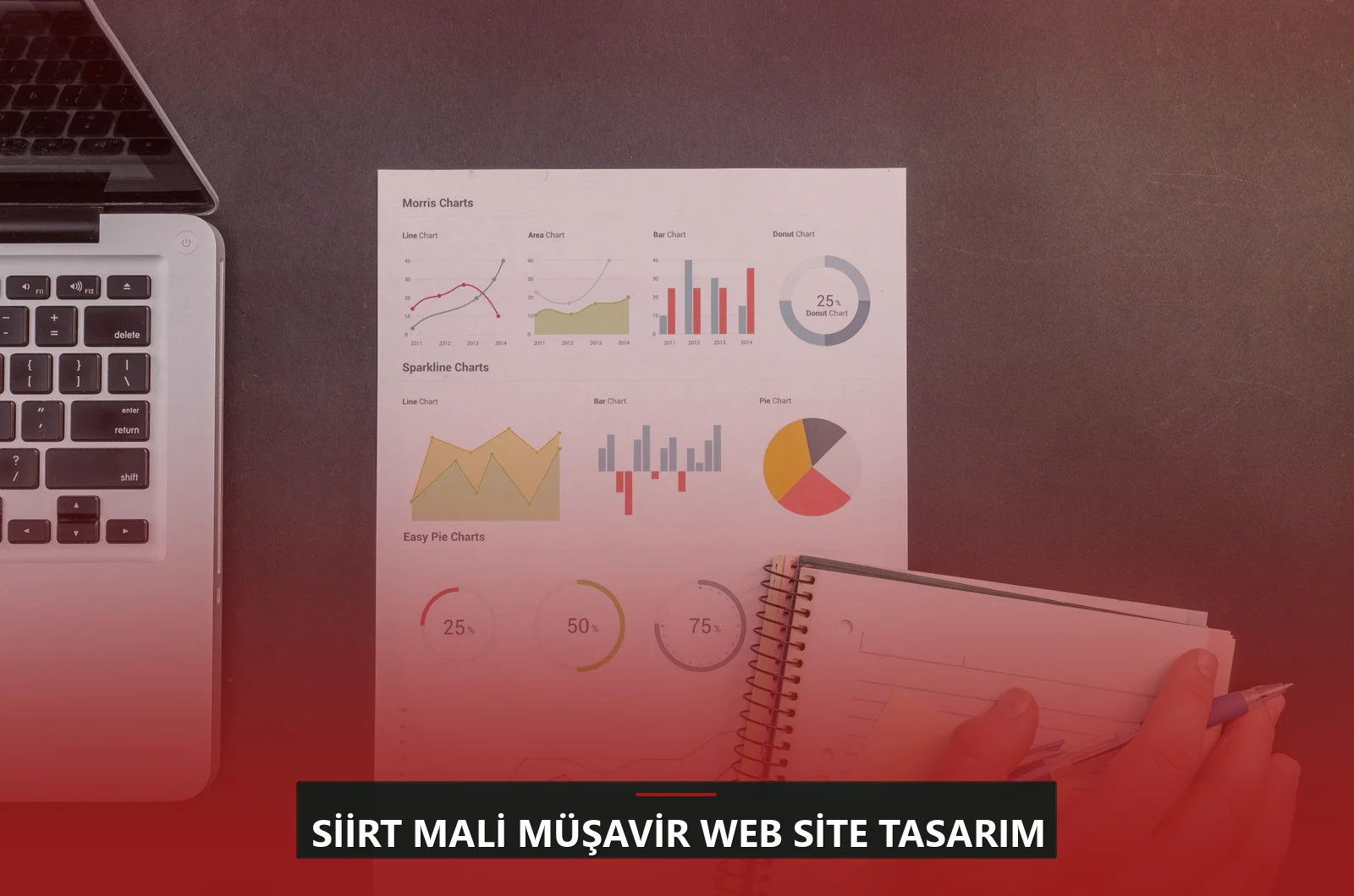 Siirt Mali Müşavir Web Site Tasarım