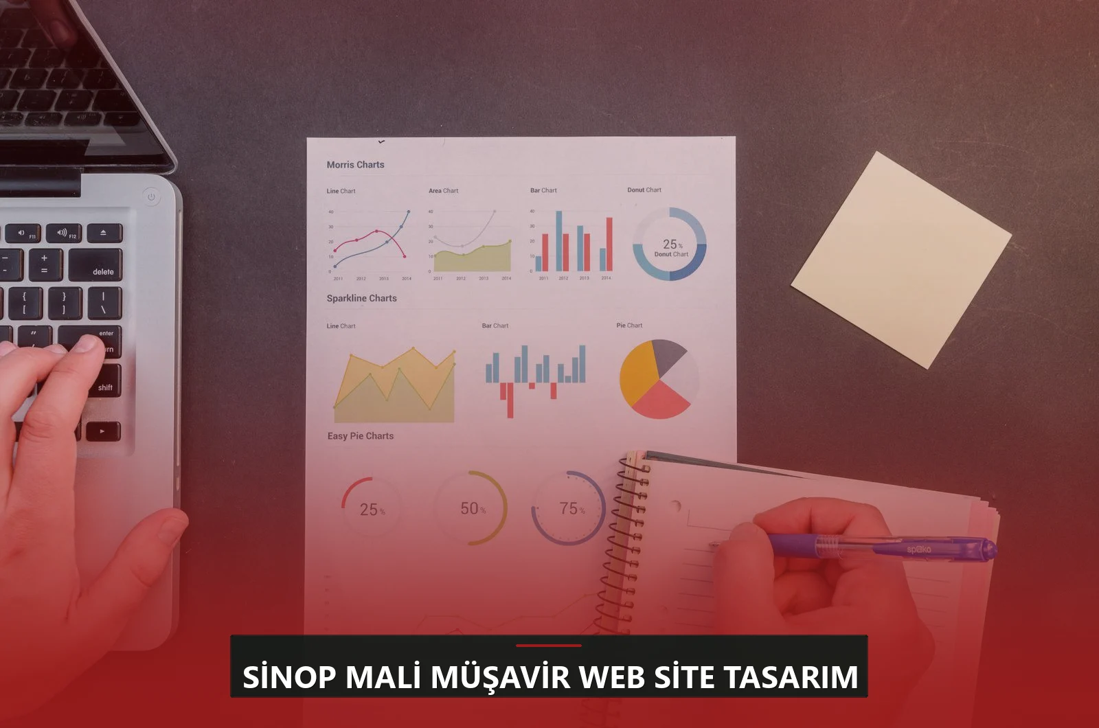 Sinop Mali Müşavir Web Site Tasarım