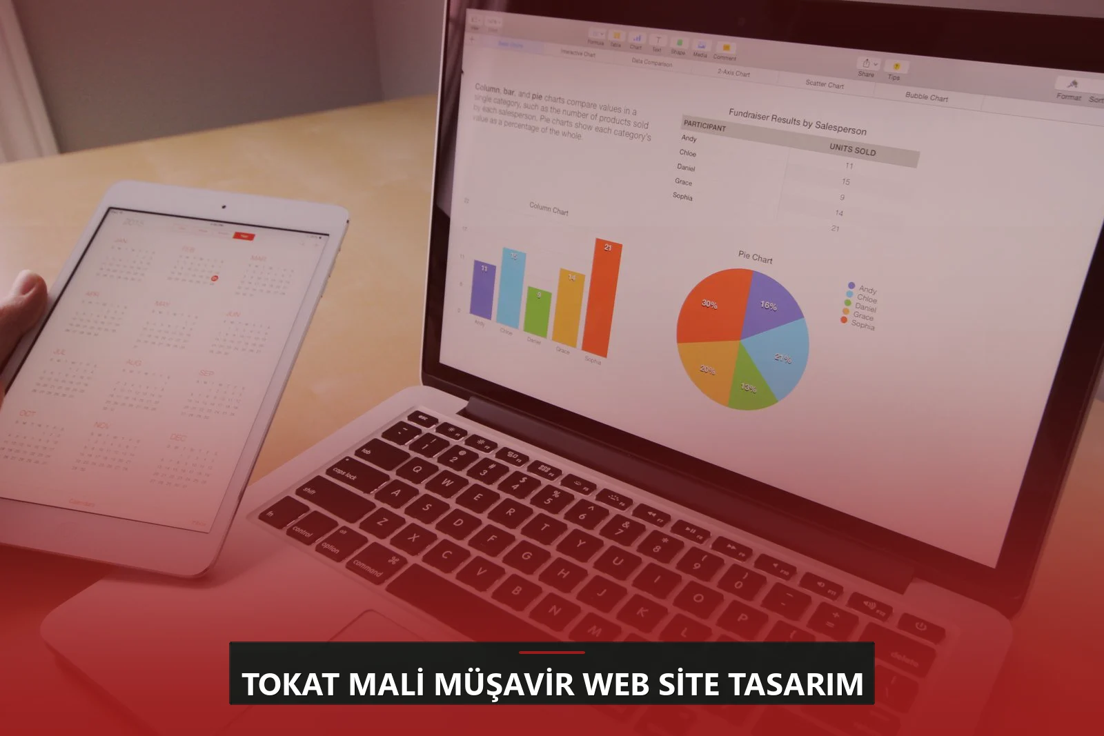 Tokat Mali Müşavir Web Site Tasarım