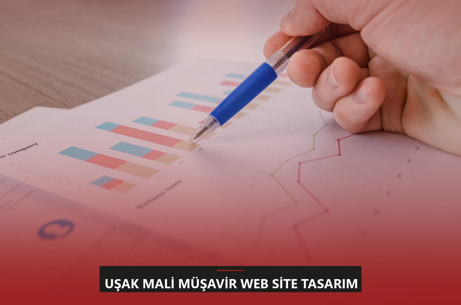 Uşak Mali Müşavir Web Site Tasarım